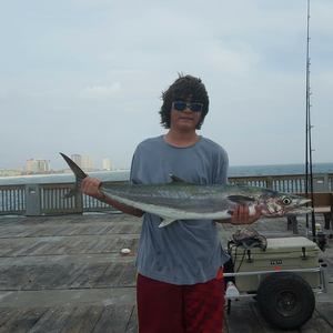 Meet your Posher, Nicky